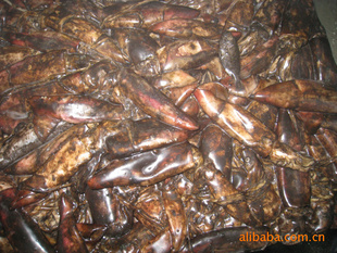 船凍紅魷魚 價格、廠家與粗加工水產品市場解析