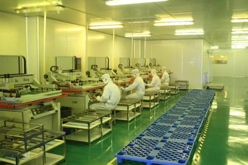 中共湛江市委十一屆十次全會工作報告要點 深化人力資源服務(wù)，規(guī)范職業(yè)中介活動，賦能高質(zhì)量發(fā)展